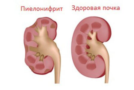 Изображение 11
