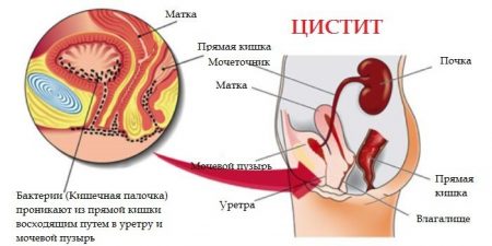 Картинка 7