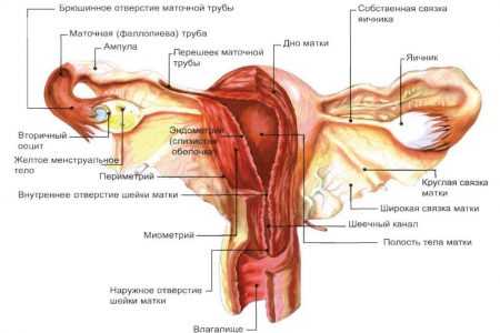 Картинка 6