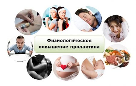 Иллюстрация 1