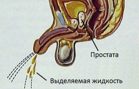 Картинка 10