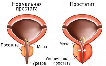 Картинка 8