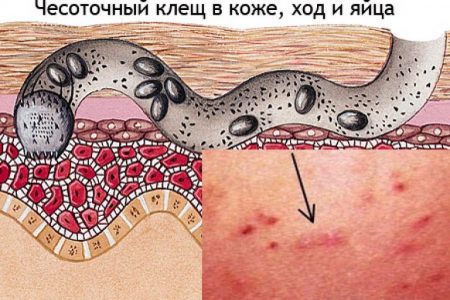 Иллюстрация 2