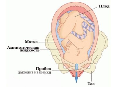 Картинка 3