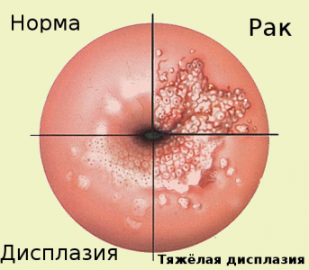 Изображение 7