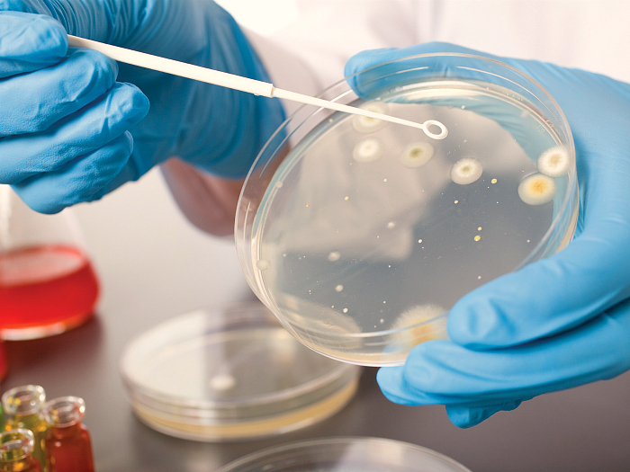 Что такое уреаплазма уреалитикум, как лечить разные виды заражения у женщин и мужчин