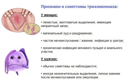 Иллюстрация 5