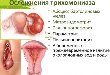 Иллюстрация 4