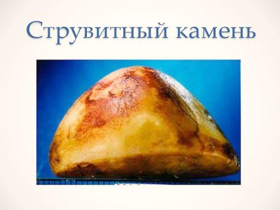 Иллюстрация 6