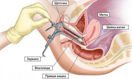 Иллюстрация 3
