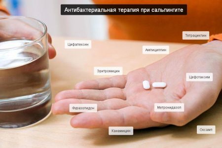 Картинка 6