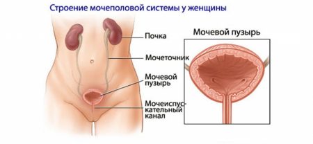 Иллюстрация 2