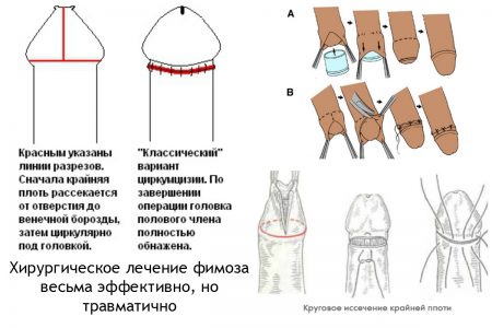 Картинка 3