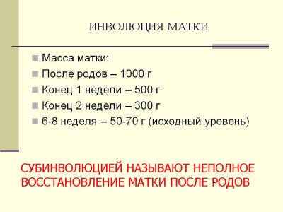 Иллюстрация 1