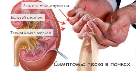 Иллюстрация 2