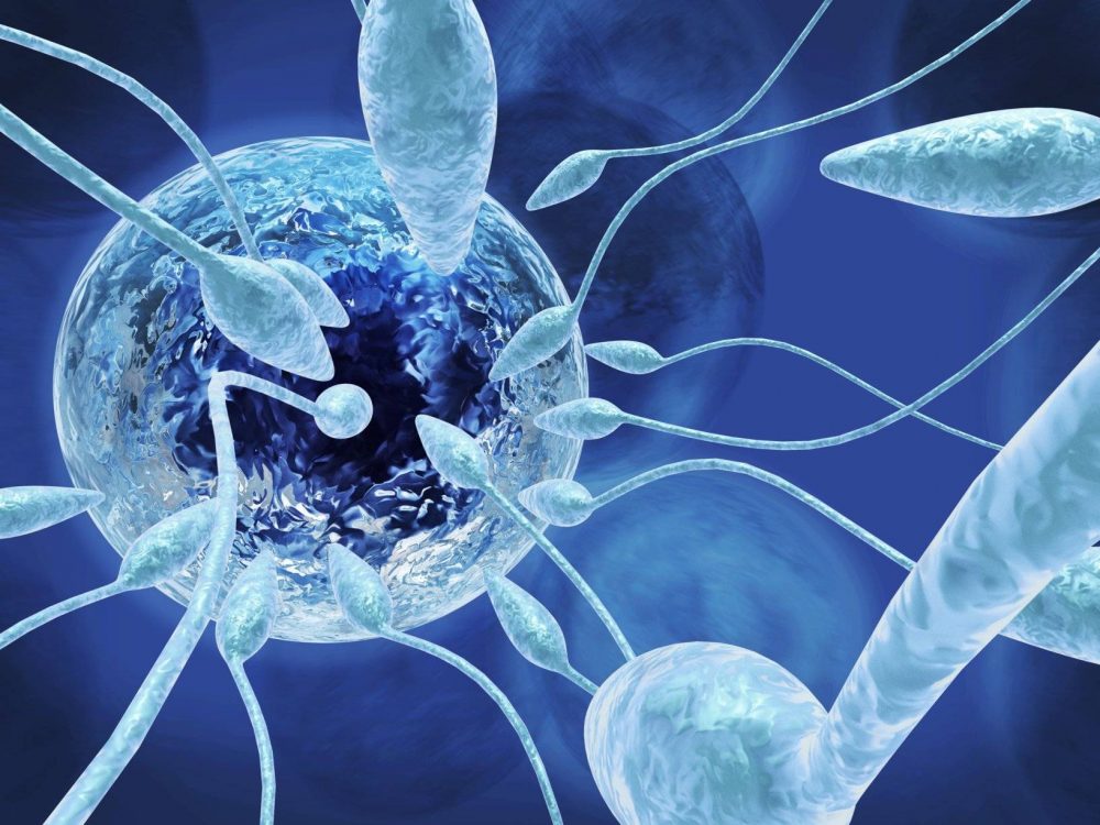 Астенозооспермия — что это, каковы ее причины и методы лечения?