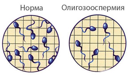 Иллюстрация 2