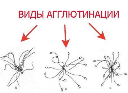 Иллюстрация 1