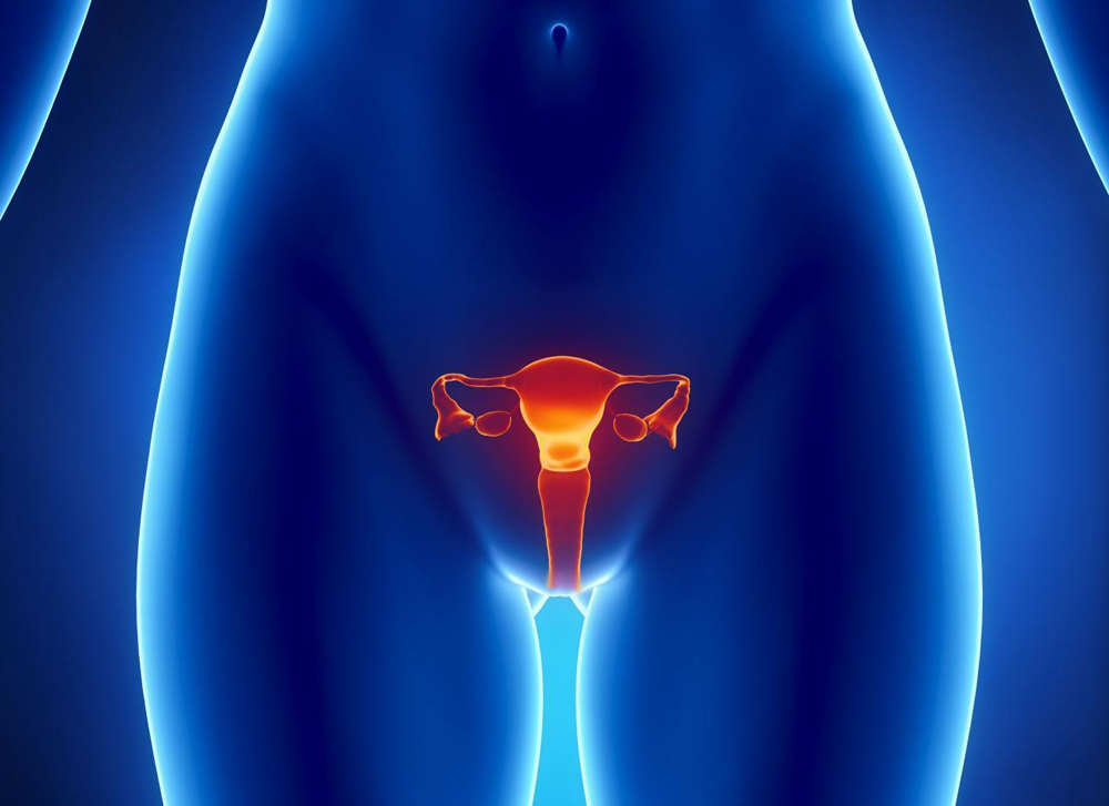 Классификация, причины, симптомы и методы лечения кольпита у женщин