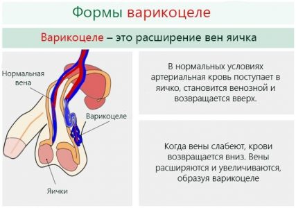 Картинка 3
