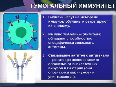 Иллюстрация 8