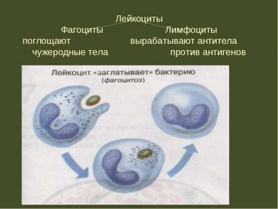 Картинка 5