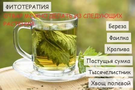 Иллюстрация 4