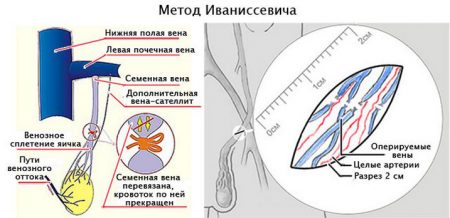 Иллюстрация 2