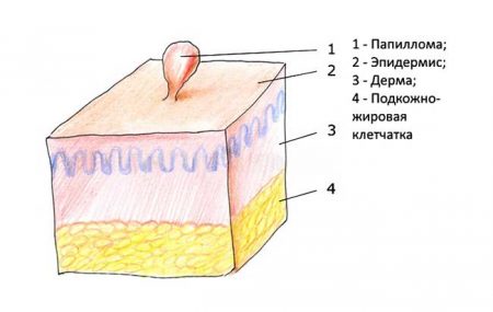 Картинка 4
