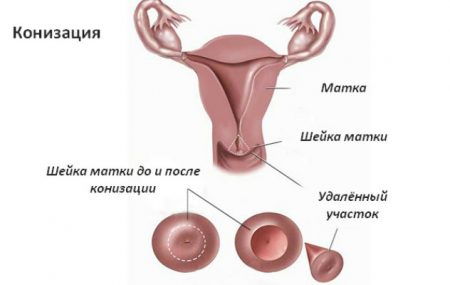 Картинка 5
