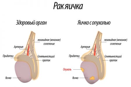 Иллюстрация 5