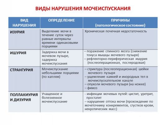 Иллюстрация 1
