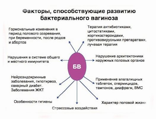 Иллюстрация 1