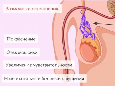 Иллюстрация 4