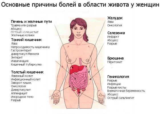 Иллюстрация 1