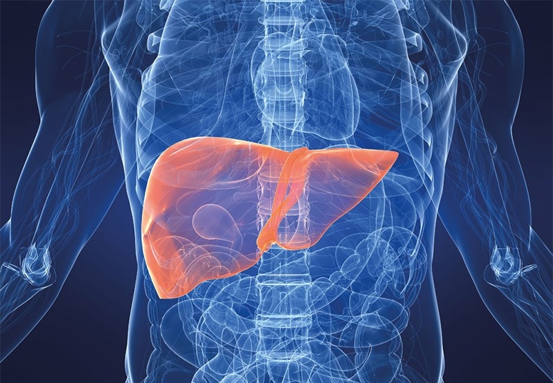 Симптомы гепатита В и С у мужчин и женщин