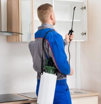 Порядок проведения дезинсекции на различных объектах