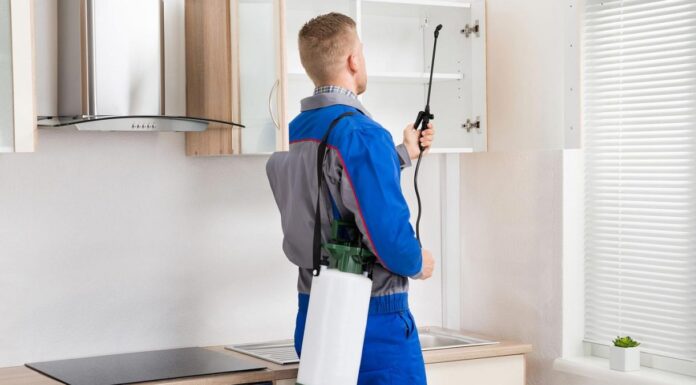 Порядок проведения дезинсекции на различных объектах