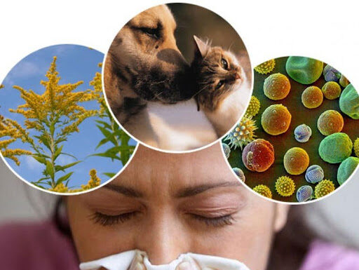 Осмотр аллерголога: основные мероприятия