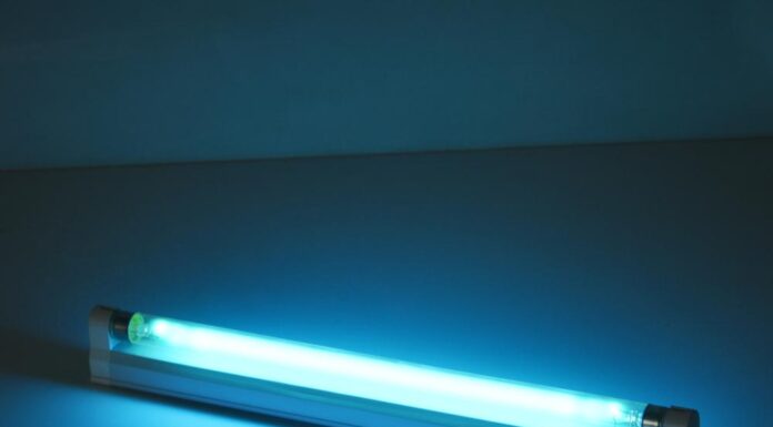 Как работает бактерицидная лампа?