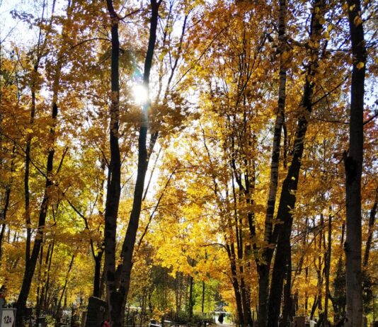 Всем ли нужна ритуальная служба?