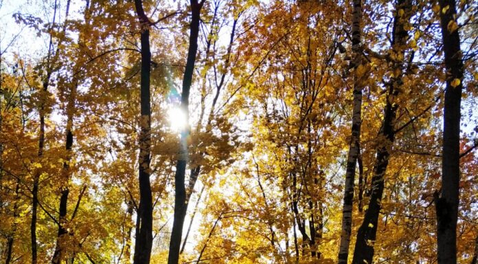 Всем ли нужна ритуальная служба?