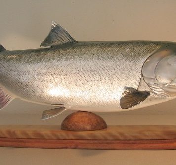 Польза морского кижуча, как правильно выбрать рыбу?