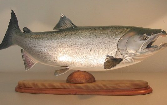 Польза морского кижуча, как правильно выбрать рыбу?