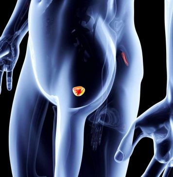 Какие симптомы указывают на рак предстательной железы?