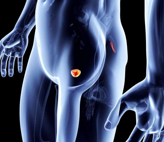 Какие симптомы указывают на рак предстательной железы?