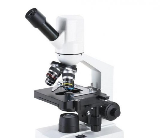 Где используется цифровой микроскоп?