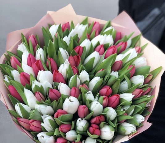 На какой праздник дарят тюльпаны