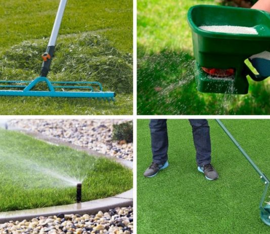 Основные правила ухода за газоном