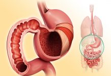 Методы диагностики заболеваний желудка, прямой и толстой кишки
